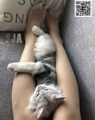 渔夫艳史_剧情片在线观看高清